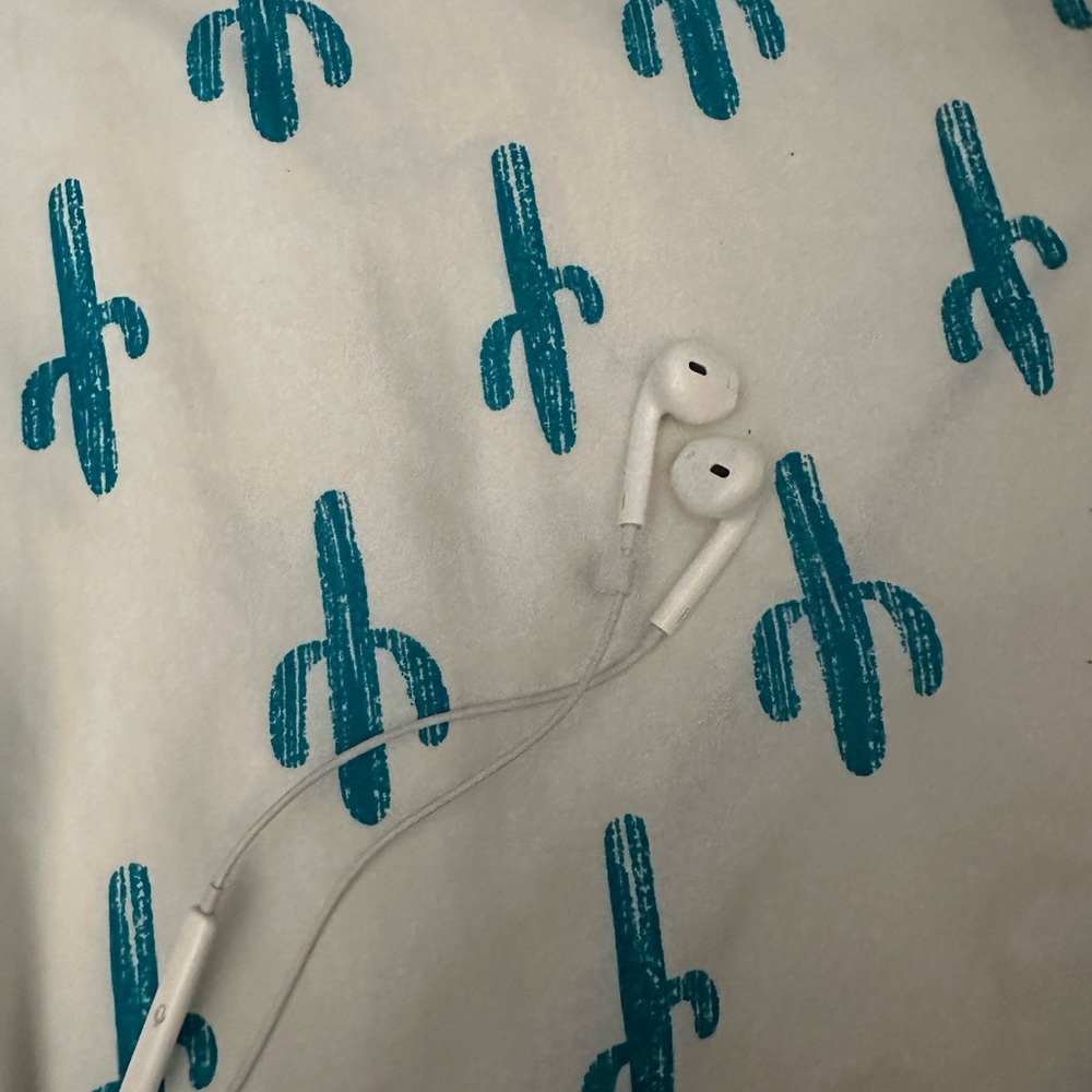 Apple ear  buds